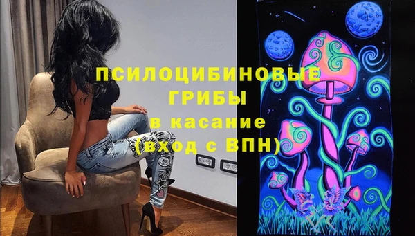 хмурый Козельск