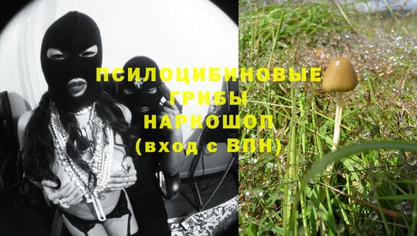 хмурый Козельск